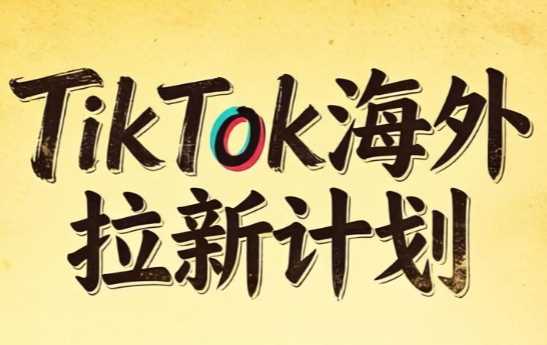 Tc联盟TikTok海外拉新计划项目-渡漳网
