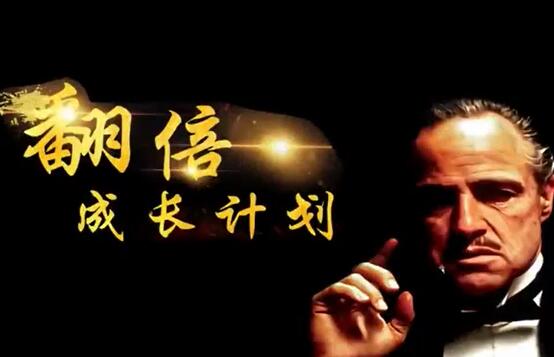 游资教父-炒股技巧《翻倍成长计划》实战股票讲座视频教程-渡漳网