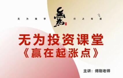 无为傅刚《赢在起涨点》寻底涨停战法视频讲座-渡漳网
