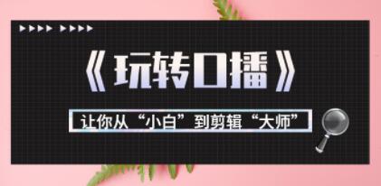 月营业额700万+大佬教您《玩转口播》让你从“小白”到剪辑“大师”-渡漳网
