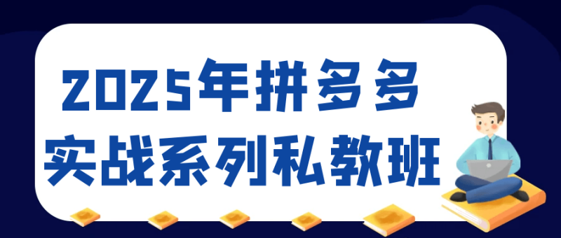 2025年拼多多实战系列私教班-渡漳网