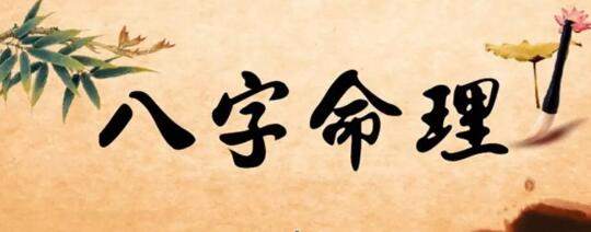 拂尘子《四柱八字命理》课程视频-渡漳网