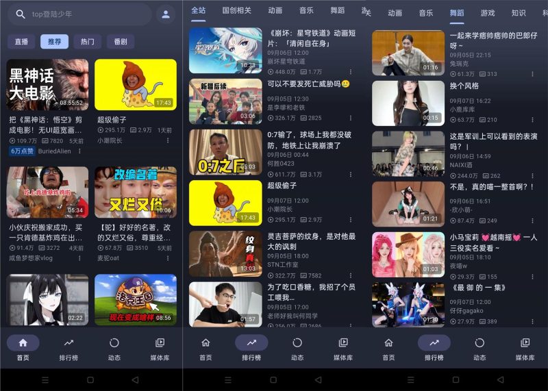 PiliPala b站第三方客户端v1.1.2-渡漳网