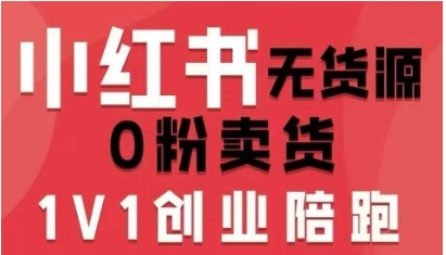 小红书无货源0粉电商课，在小红书赚第一桶金-渡漳网