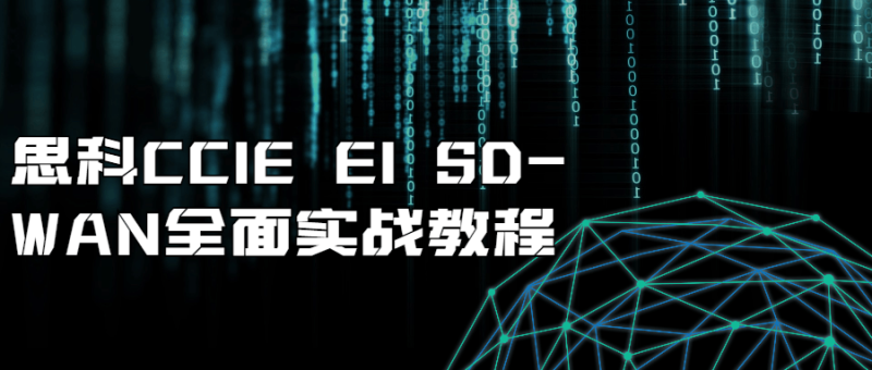 思科CCIE EI SD-WAN全面实战教程-渡漳网