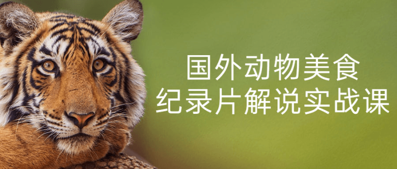 国外动物美食纪录片解说实战课-渡漳网