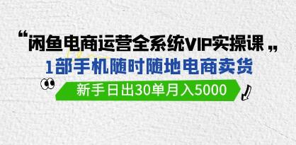 《闲鱼电商运营全系统VIP实战课》新手日出30单月入5000-渡漳网