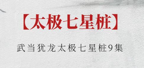 武当犹龙《太极七星桩》视频-渡漳网