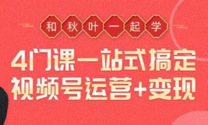 一站式搞定视频号运营变现,从0到1学视频号运营实操培训课程视频-渡漳网