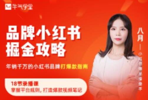 《品牌小红书掘金攻略》年销千万的小红书品牌打爆款指南-渡漳网