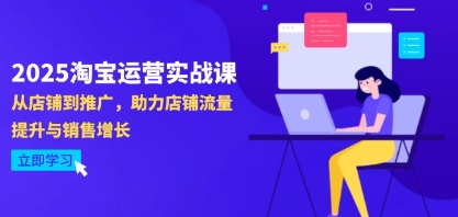 淘宝运营实战课，从店铺到推广，助力店铺流量提升与销售增长-渡漳网