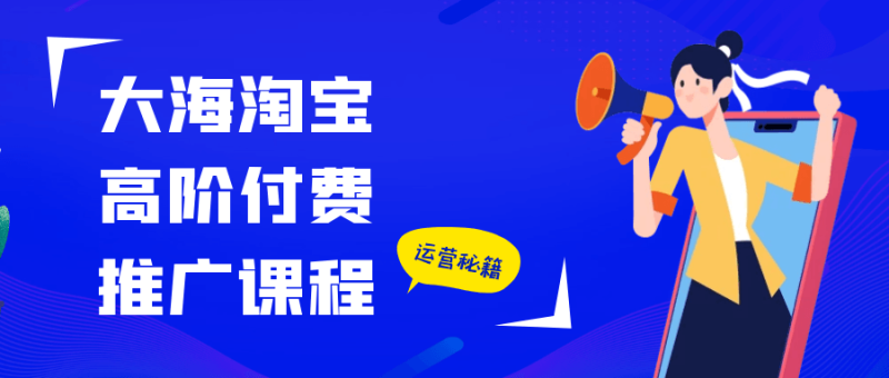 大海淘宝高阶付费推广课程-渡漳网