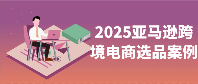2025亚马逊跨境电商选品案例-渡漳网