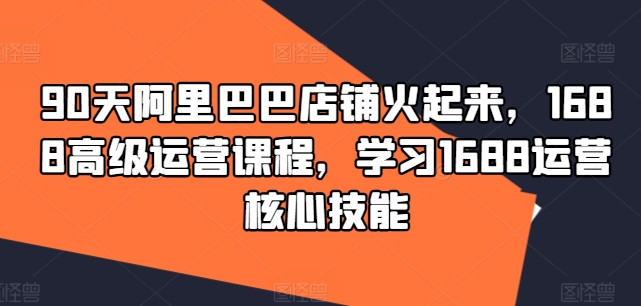 1688高级运营课 学习核心技能-渡漳网