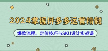 《掌握拼多多运营精髓》爆款流程、定价技巧与SKU设计实战课-渡漳网