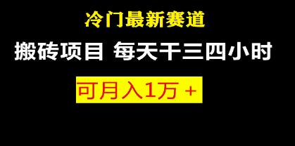 《最新冷门游戏搬砖项目》小白零基础也可以月入过万-渡漳网