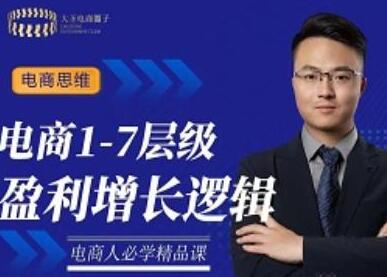 大圣《电商1-7层级盈利增长底层逻辑课》让你掌握电商盈利的底层逻辑-渡漳网