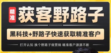 杨光《精准获客野路子》黑科技+快速加人玩法,精准客户源源不断-渡漳网