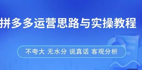 《拼多多店铺运营实操教程》快速学会拼多多开店和运营,少踩坑,多盈利-渡漳网