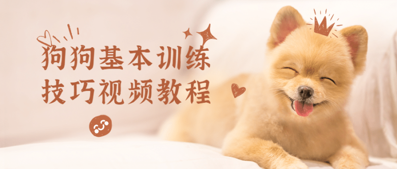 狗狗基本训练技巧视频教程-渡漳网