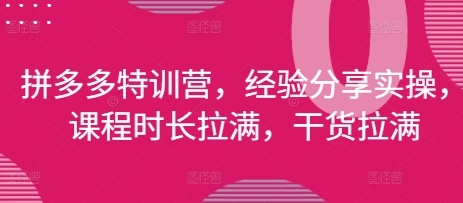 拼多多特训营，经验分享实操，干货拉满-渡漳网