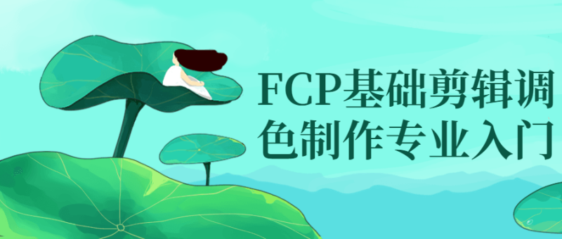 FCP基础剪辑调色制作专业入门-渡漳网