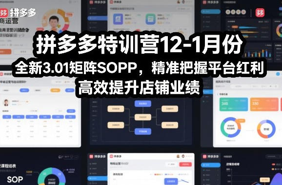 拼多多特训营全新3.01矩阵Sop,高效提升店铺业绩-渡漳网