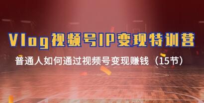 《Vlog视频号IP变现特训营》通过视频号变现赚钱-渡漳网