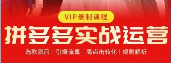 《拼多多店铺运营实战教程》选款测品、引爆流量、高点击转化、规则解析-渡漳网