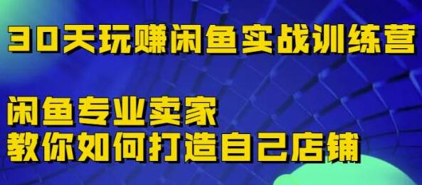 《30天玩赚闲鱼实战训练营》闲鱼专业卖家教你如何打造自己店铺-渡漳网