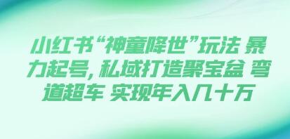 《小红书“神童降世”玩法 暴力起号》私域打造聚宝盆 弯道超车-渡漳网