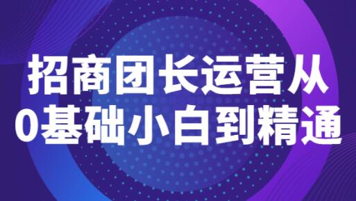 《招商团长运营》从0基础小白到精通-渡漳网