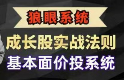成长股实战法则,基本面价投系统-渡漳网