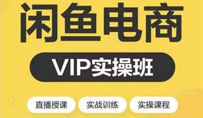 闲鱼副业项目月入过万进阶课程,教你掌握闲鱼电商所需的各项技能-渡漳网