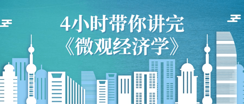 4小时带你讲完《微观经济学》-渡漳网