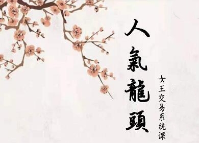 短线女王-人气龙头基础视频教程-渡漳网