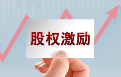 李利威《股权激励训练营》培训讲座第3期,零基础30个案例搞定股权激励-渡漳网