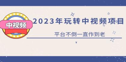 《0基础玩转抖音中视频项目》平台不倒,一直做到老-渡漳网
