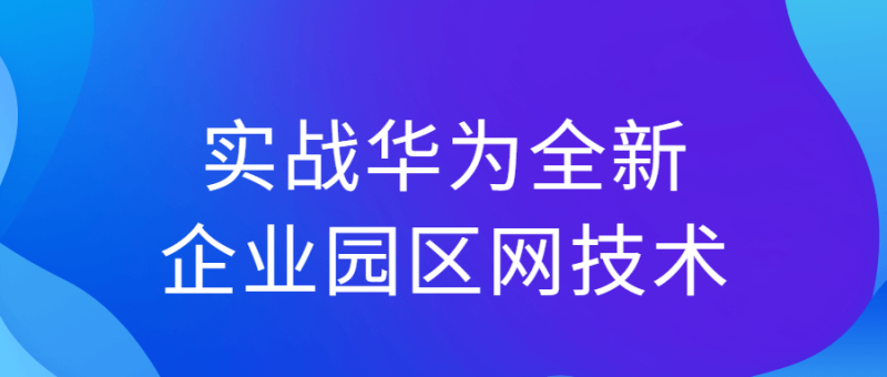 实战华为全新企业园区网技术-渡漳网