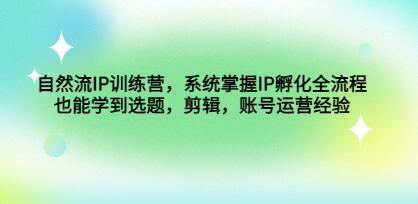 瑶瑶《自然流IP孵化》系统掌握IP孵化全流程,选题,剪辑,账号运营经验-渡漳网