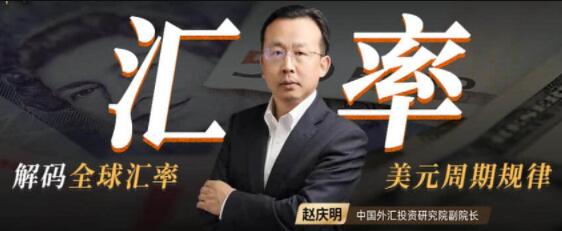 赵庆明《解码全球汇率》一门课读懂全球汇率背后的逻辑-渡漳网