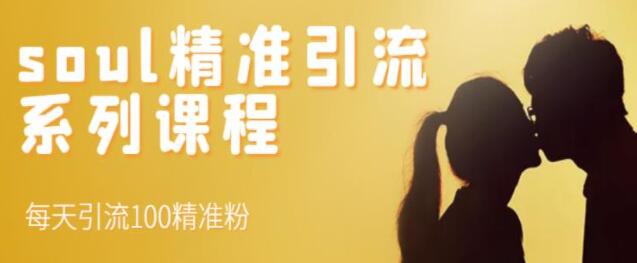 《SOUL精准引流系列课程》每天引流100精准粉-渡漳网