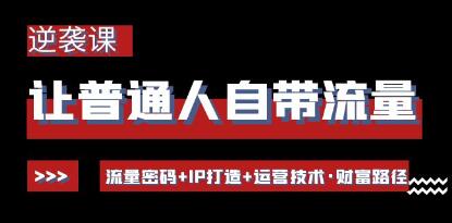 《让普通人自带流量的逆袭课》流量密码+IP打造+运营技术・财富路径-渡漳网
