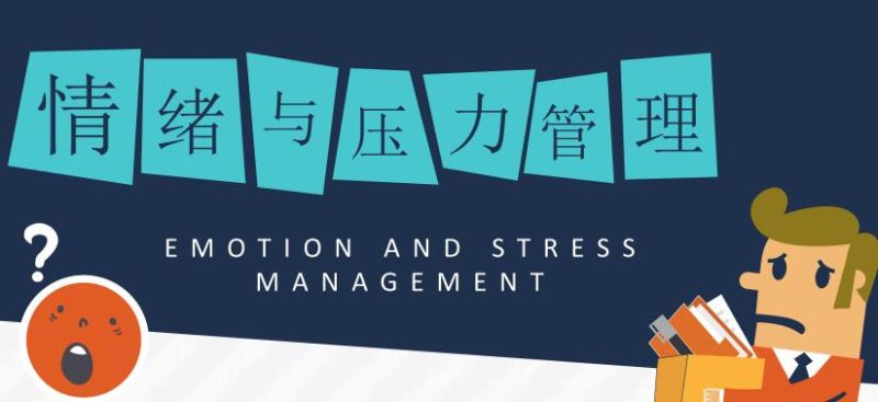 赵了了《情绪及压力管理》视频课程-渡漳网