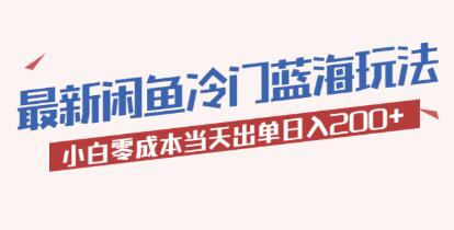 《闲鱼冷门蓝海玩法》小白零成本当天出单日入200+-渡漳网