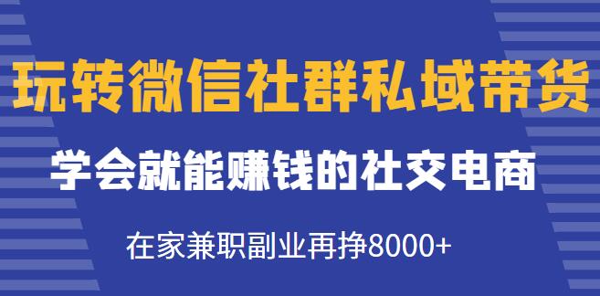 《玩转微信社群私域带货》学会就能赚钱的社交电商，在家兼职副业再挣8000+-渡漳网