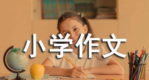 小学作文大全,小学作文辅导教学视频教程-渡漳网