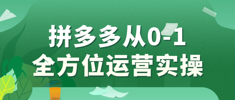 拼多多从0-1全方位运营实操-渡漳网