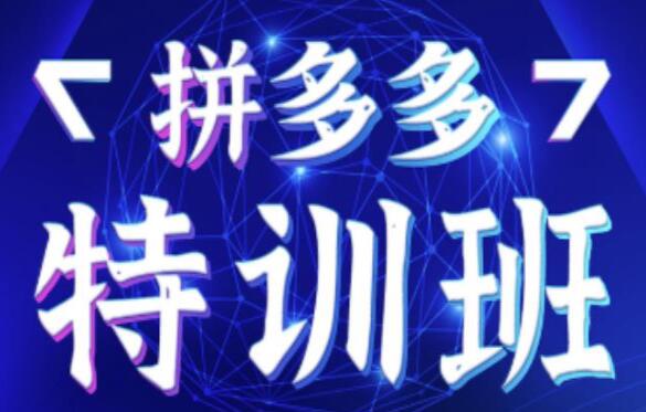 星雪教育《拼多多基础班+进阶班+突破班》用系统的学习模式快速改变现状-渡漳网
