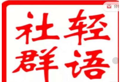 轻语社群《拼多多VIP会员系列》超详细的拼多多实战运营攻略-渡漳网